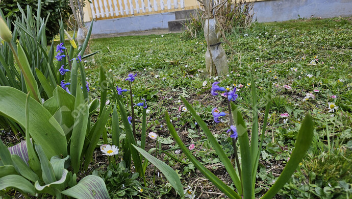 9. kép | Eladó Családi ház, Szőlősgyörök (#179158)