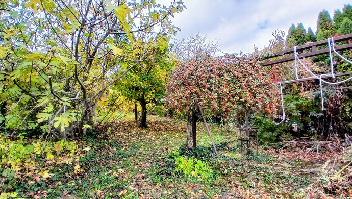 11. kép | Eladó Családi ház, Alsópáhok (#178049)