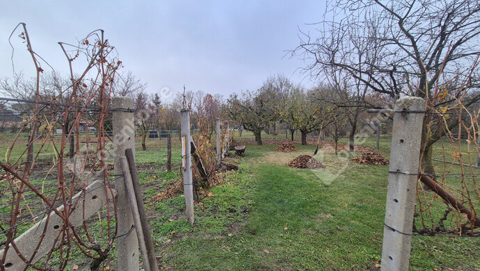 19. kép | Eladó Családi ház, Kisbér (#178396)