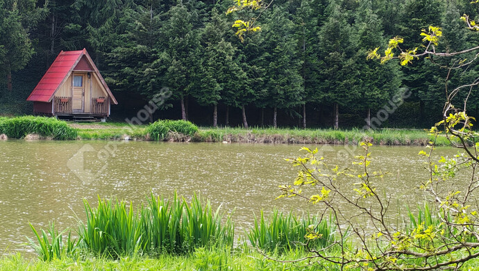 44. kép | Eladó Családi ház, Ötvöskónyi (#181241)