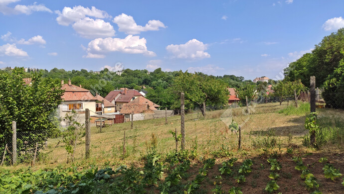 14. kép | Eladó Családi ház, Aszód (#173151)