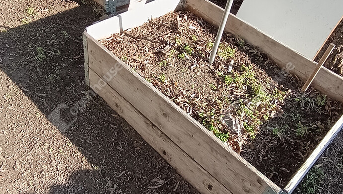 19. kép | magaságyás | Eladó Nyaraló, Szeged (#179659)