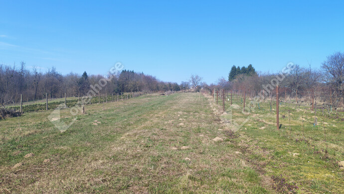 57. kép | Eladó Nyaraló, Becsehely (#180205)