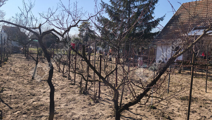 3. kép | Eladó Zárt kert, Szeged (#180288)