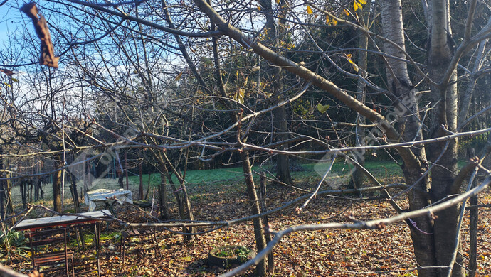 43. kép | Eladó Nyaraló, Letenye (#178652)