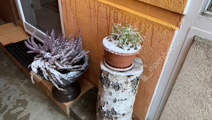 50. kép | Eladó Családi ház, Nagykanizsa (#179930)