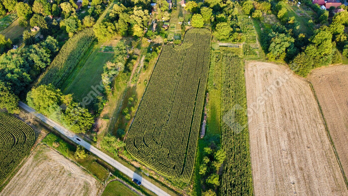 15. kép | Eladó Telek, Nagykutas (#176517)