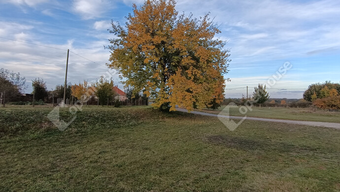 13. kép | Eladó Családi ház, Sand (#178247)