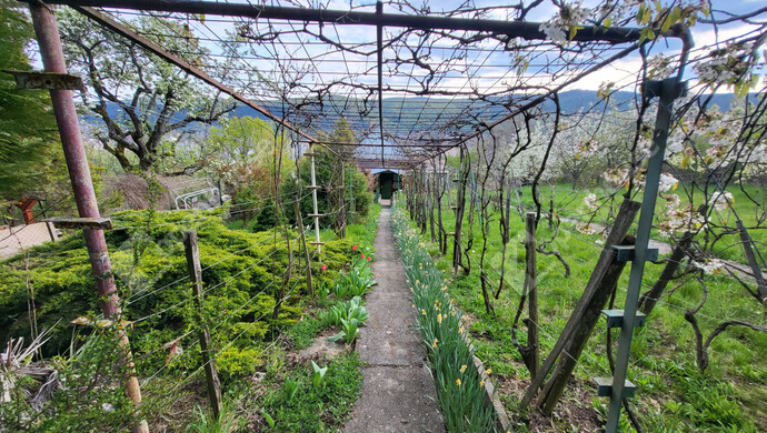 13. kép | Eladó Családi ház, Miskolc (#181067)