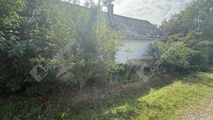 38. kép | Eladó Családi ház, Becsvölgye (#176934)