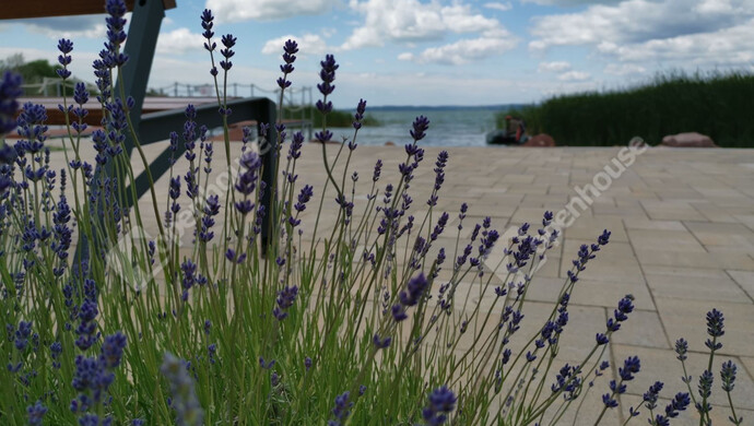 33. kép | Eladó Téglaépítésű lakás, Siófok (#178170)