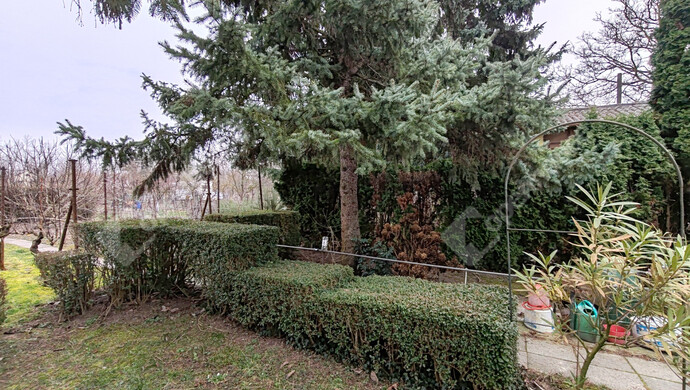 6. kép | Eladó Családi ház, Vámosszabadi (#180276)