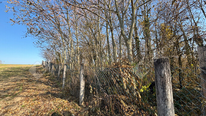 10. kép | Eladó Telek, Gomba (#178274)