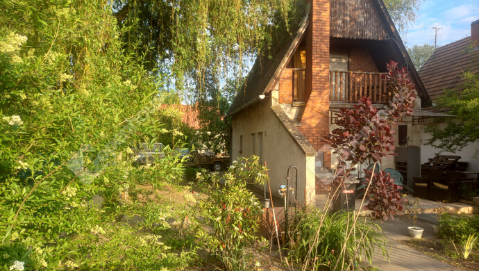 2. kép | Nyáron a házfront | Eladó Nyaraló, Szeged (#179659)