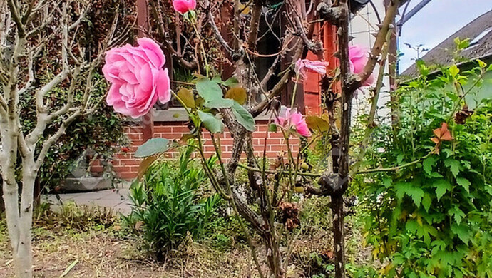 38. kép | Eladó Családi ház, Alsópáhok (#178049)