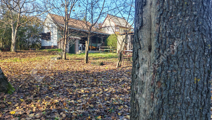 35. kép | Eladó Nyaraló, Letenye (#178652)