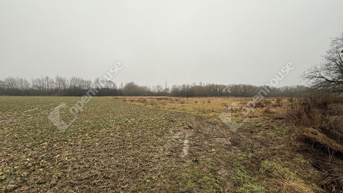 2. kép | Eladó Telek, Zalaegerszeg (#179597)