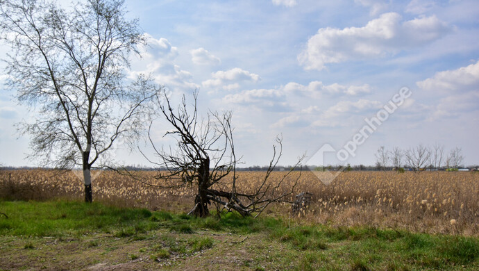 4. kép | Eladó Tanya, Balástya (#180752)