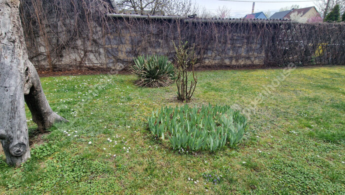 23. kép | Eladó Családi ház, Tiszaújváros (#180798)