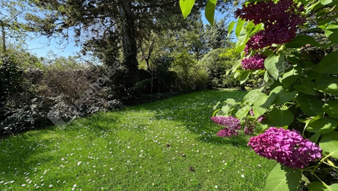 26. kép | Eladó Ikerház, Vonyarcvashegy (#181367)