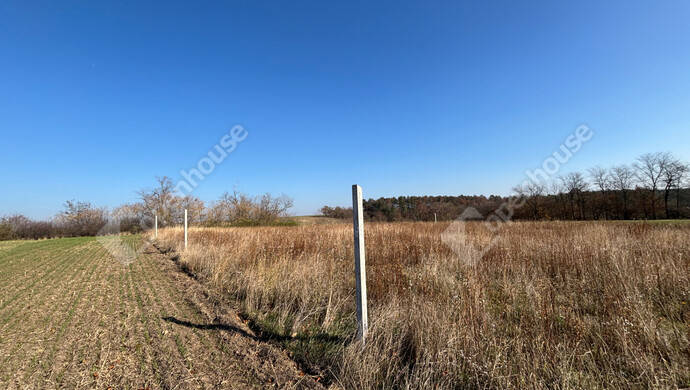 8. kép | Eladó Telek, Gomba (#178274)