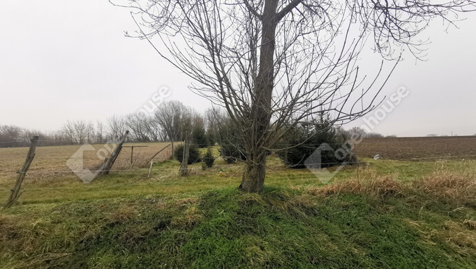 8. kép | Eladó Mezőgazdasági, Sármellék (#175513)