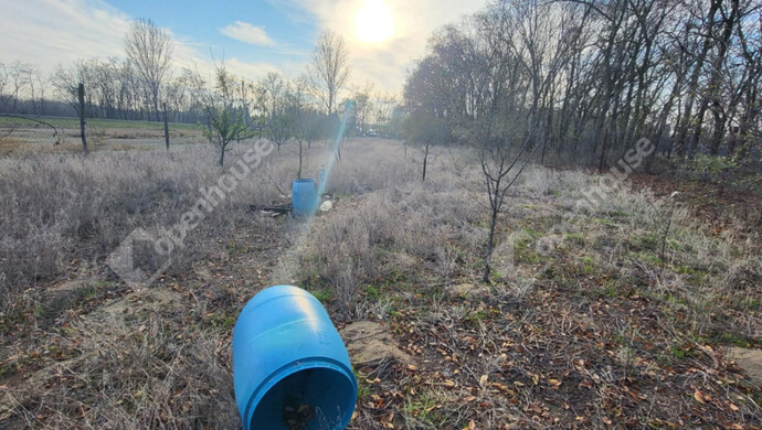 5. kép | Eladó Mezőgazdasági, Zsombó (#178321)