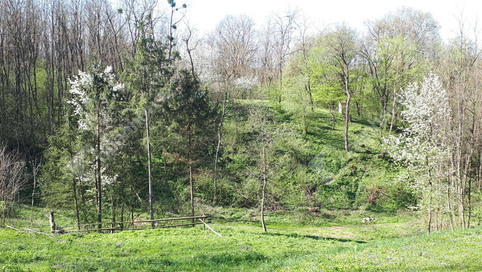 5. kép | Eladó Nyaraló, Söjtör (#179843)