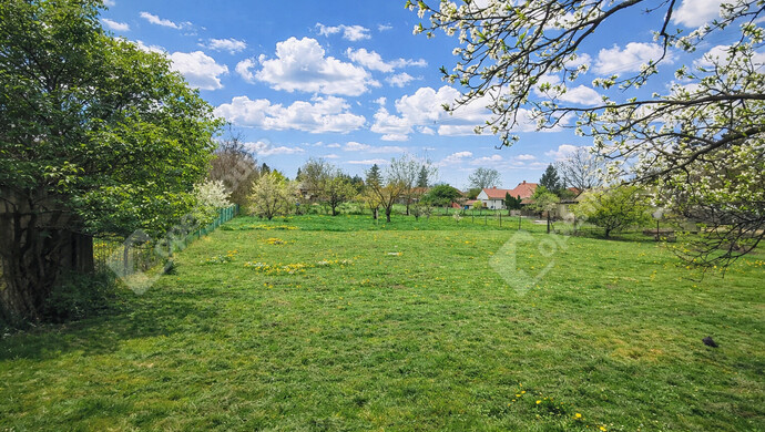 2. kép | Kert | Eladó Családi ház, Sárszentmihály (#181087)