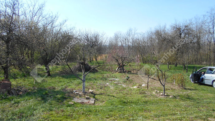3. kép | Eladó Zárt kert, Türje (#168045)