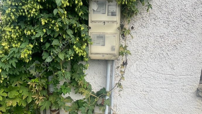 19. kép | Eladó Családi ház, Mernye (#177347)