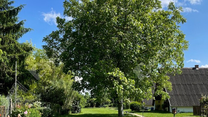 1. kép | Eladó Családi ház, Mecsér (#181179)