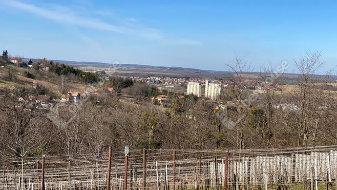 20. kép | Eladó Zárt kert, Zalaegerszeg (#161683)