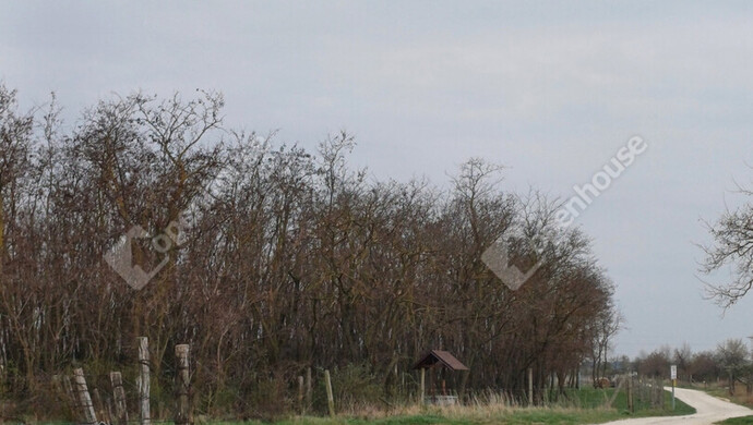 2. kép | Eladó Zárt kert, Fertőszentmiklós (#175670)
