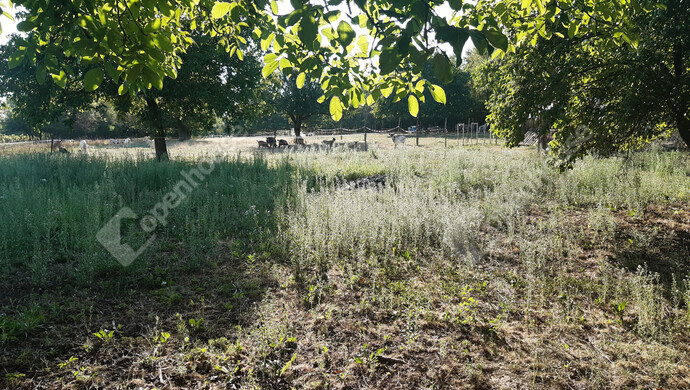 2. kép | Eladó Nyaraló, Rigyác (#176493)