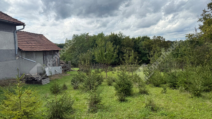12. kép | Eladó Telek, Kustánszeg (#176957)