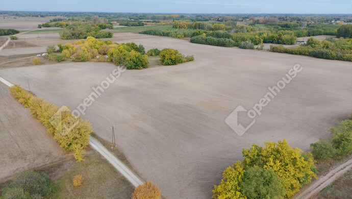 1. kép | Eladó Tanya, Balástya (#178144)