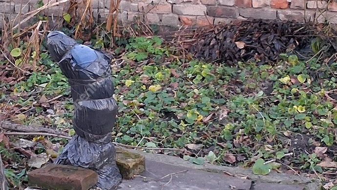 11. kép | Eladó Családi ház, Komárom (#179430)