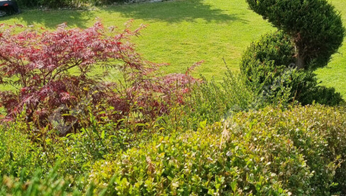 34. kép | Eladó Családi ház, Nagykanizsa (#179789)