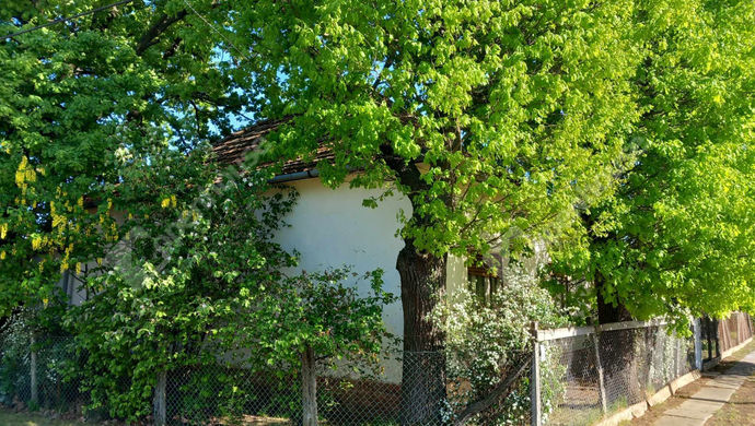 18. kép | Eladó Családi ház, Kőtelek (#168423)