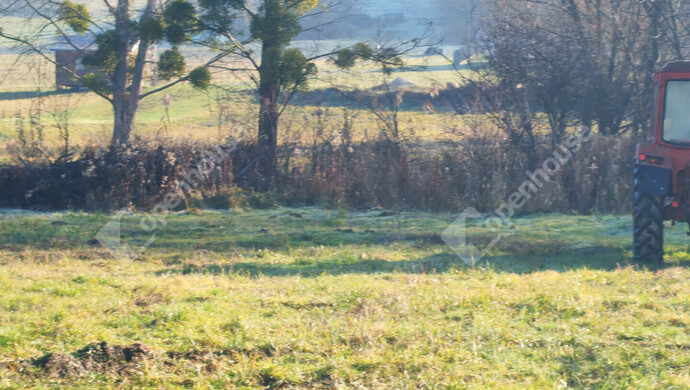 24. kép | Eladó Telek, Kiscsehi (#178890)