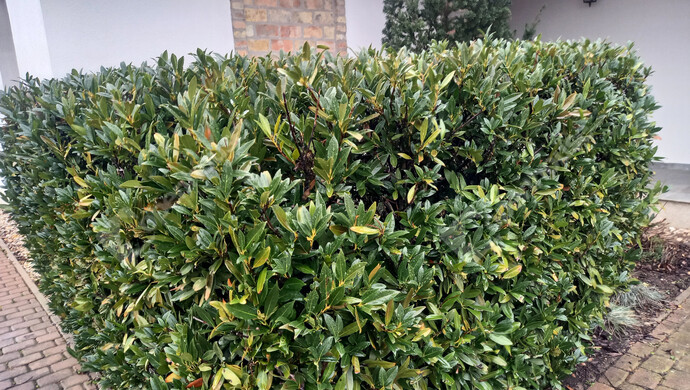 74. kép | Eladó Családi ház, Pápa (#178516)