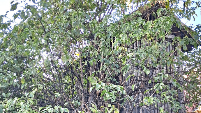 24. kép | Eladó Családi ház, Ács (#177293)