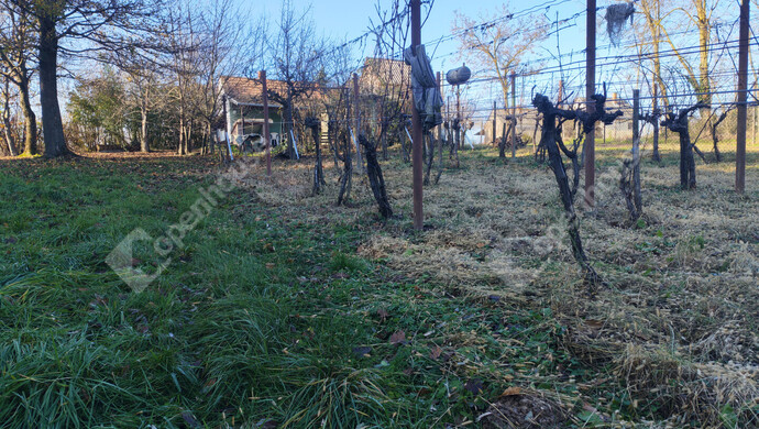 30. kép | Eladó Nyaraló, Letenye (#178652)