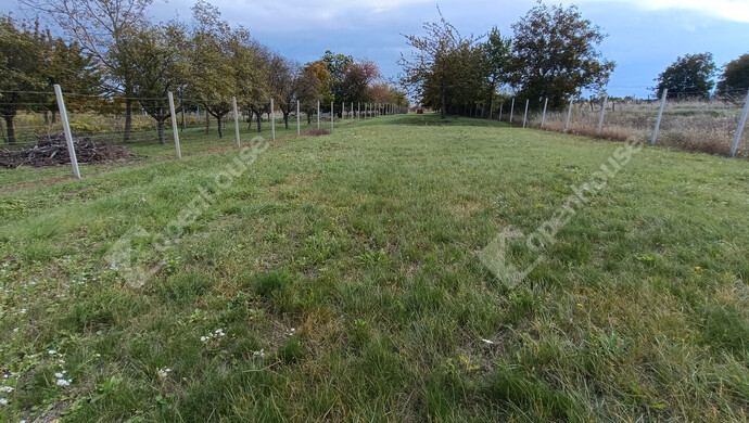 6. kép | Eladó Telek, Sopron (#177546)