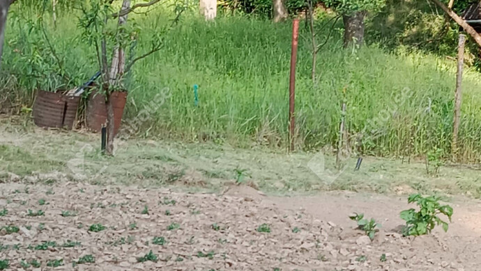 8. kép | Eladó Zárt kert, Ságvár (#178272)