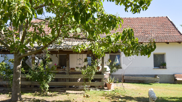 1. kép | Eladó Családi ház, Kistelek (#177150)