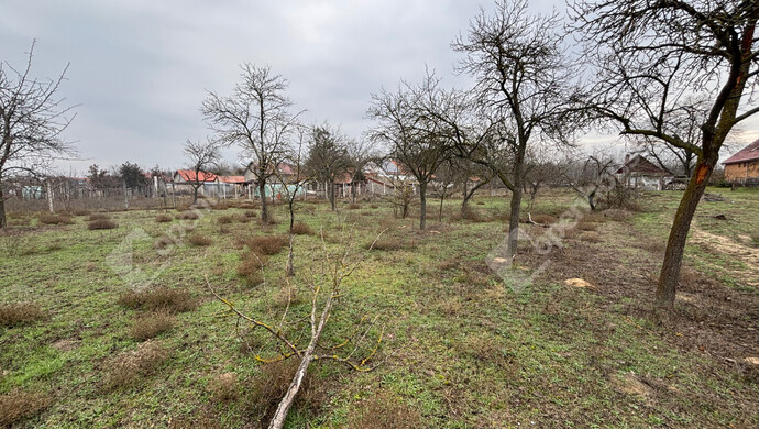 1. kép | Eladó Telek, Csévharaszt (#178902)