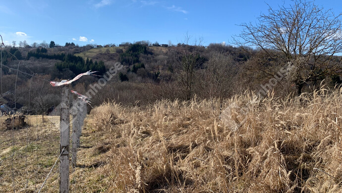 8. kép | Eladó Nyaraló, Homokkomárom (#179898)