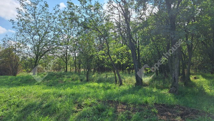 0. kép | Eladó Telek, Pápoc (#176854)